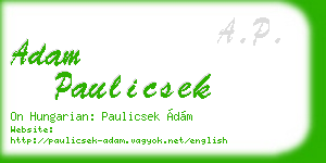 adam paulicsek business card